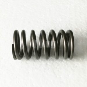 Cummins 6CT Valve Spring 3925272