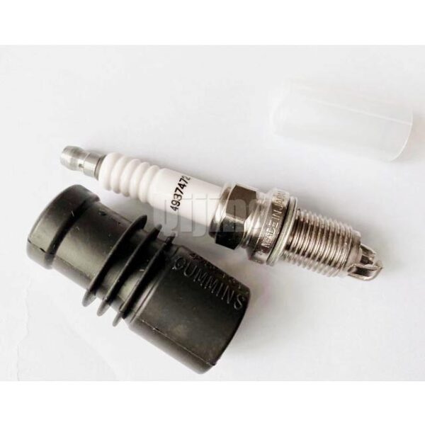 Cummins 6CT Spark plug 4937472