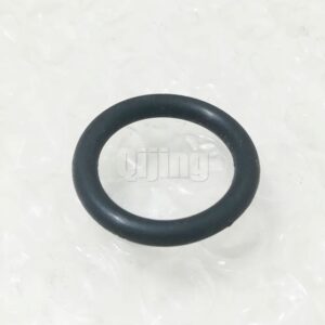 Cummins KT19 O-ring 3029820