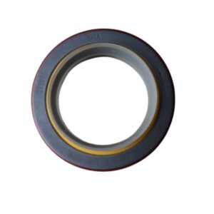 Cummins KTA19 Oil Seal 3016788